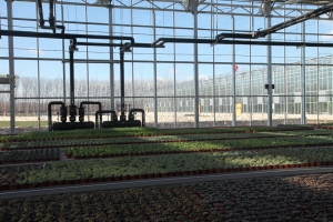 The bright future of the smart farm