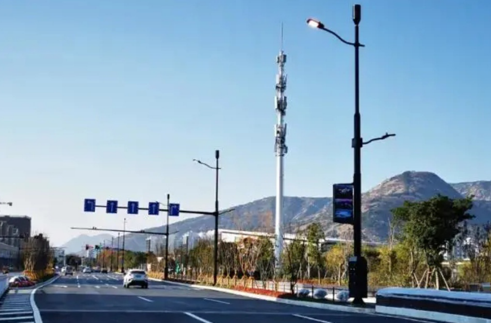 浙江省温州市物联网智慧路灯工程(图2)