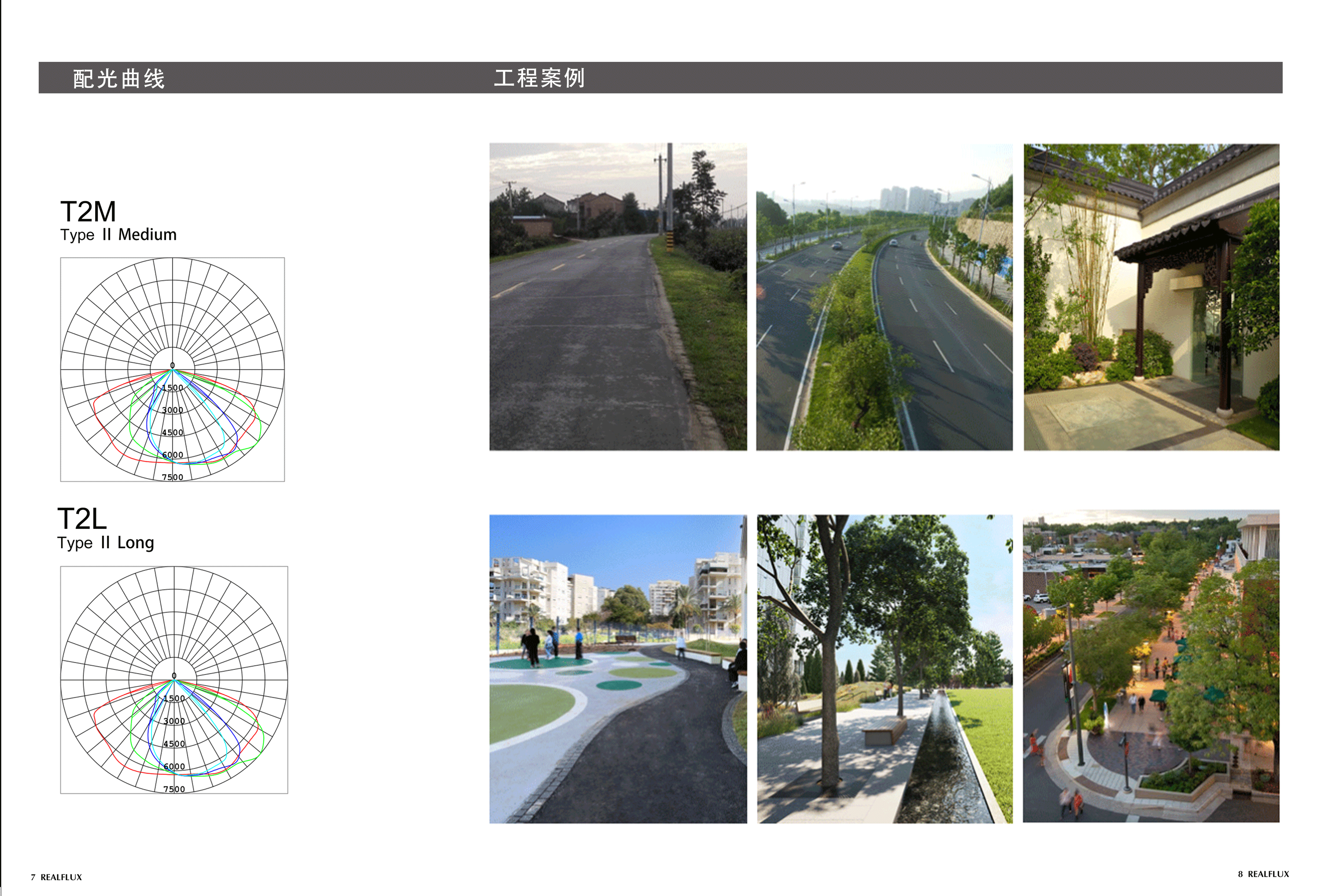 瑞峰光电913系列智慧路灯(图5)