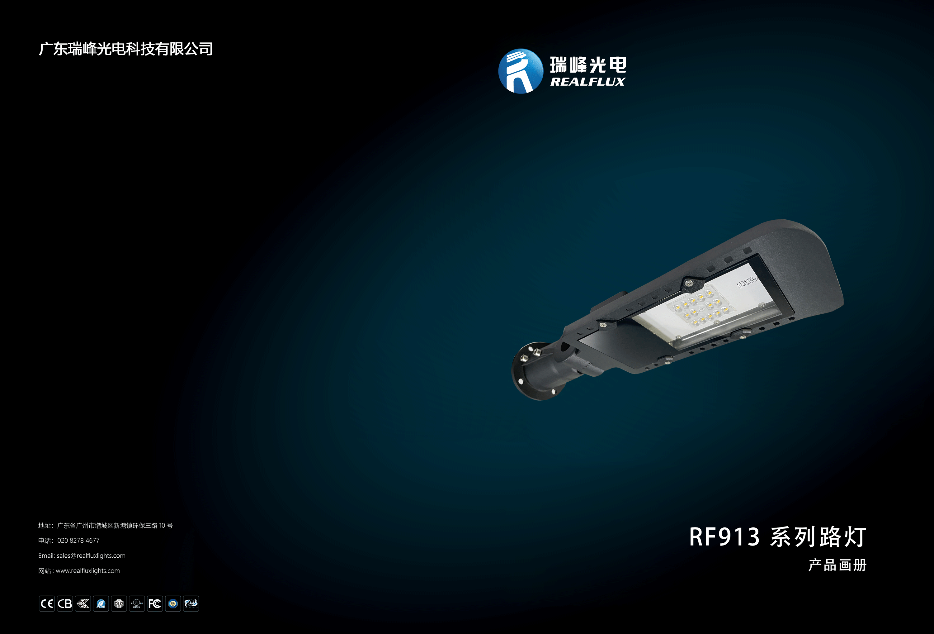瑞峰光电913系列智慧路灯(图1)