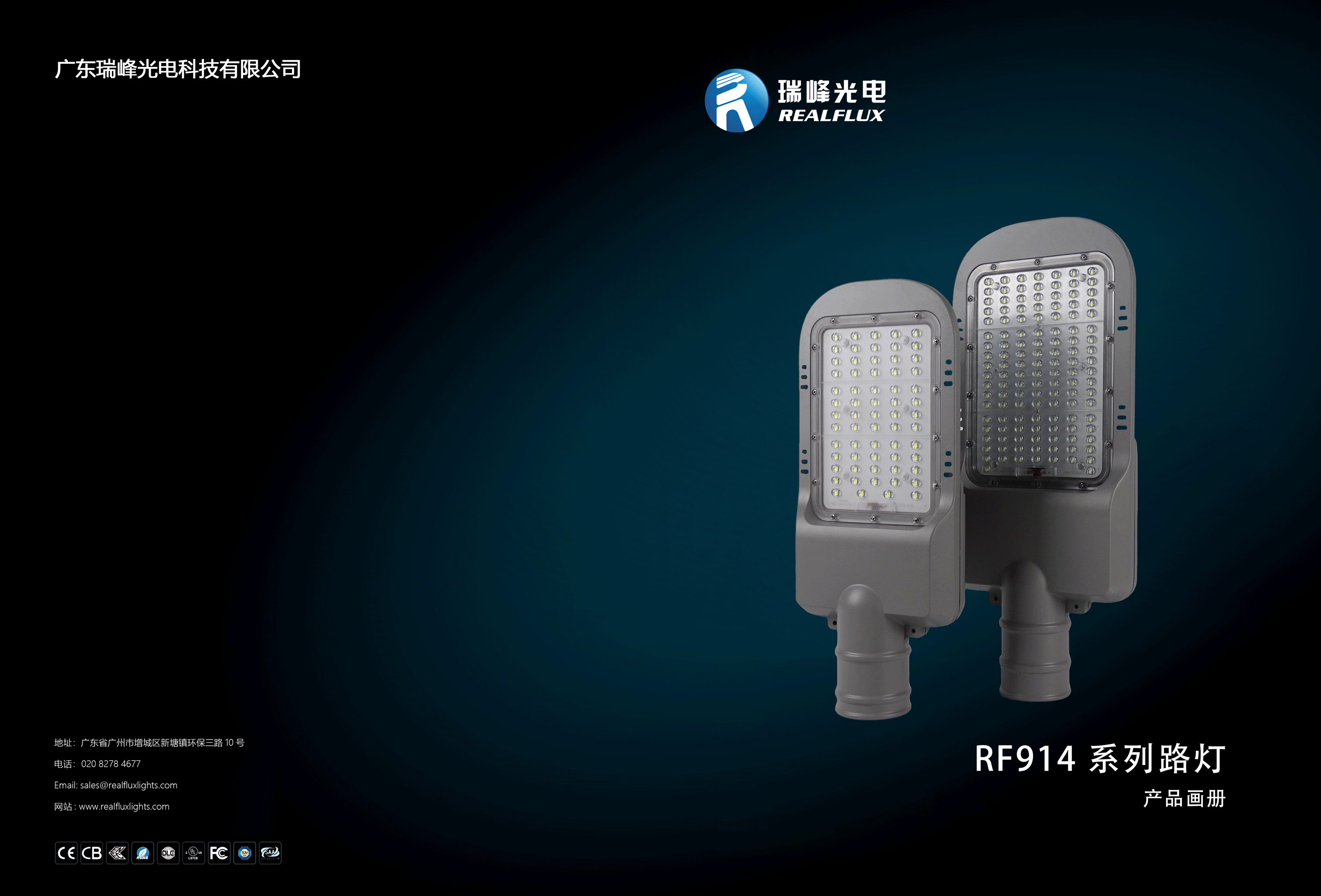 瑞峰光电914系列智慧路灯(图1)