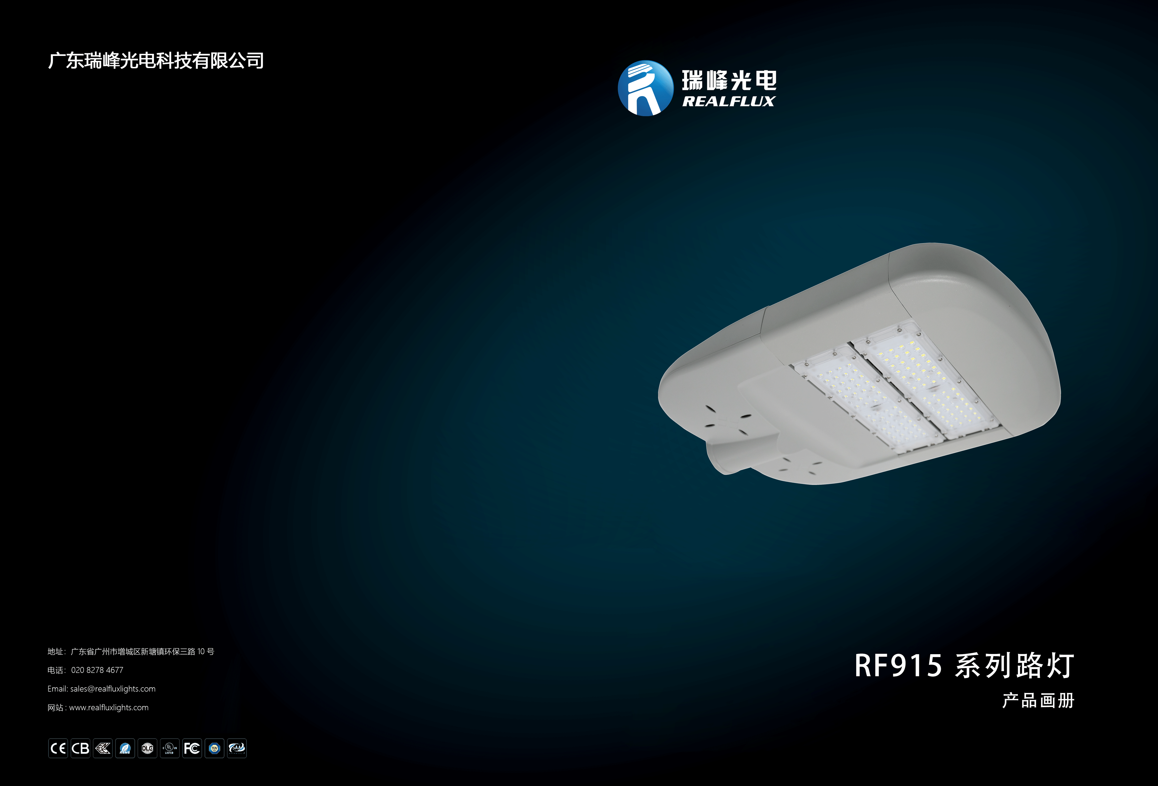 瑞峰光电915系列智慧路灯(图1)