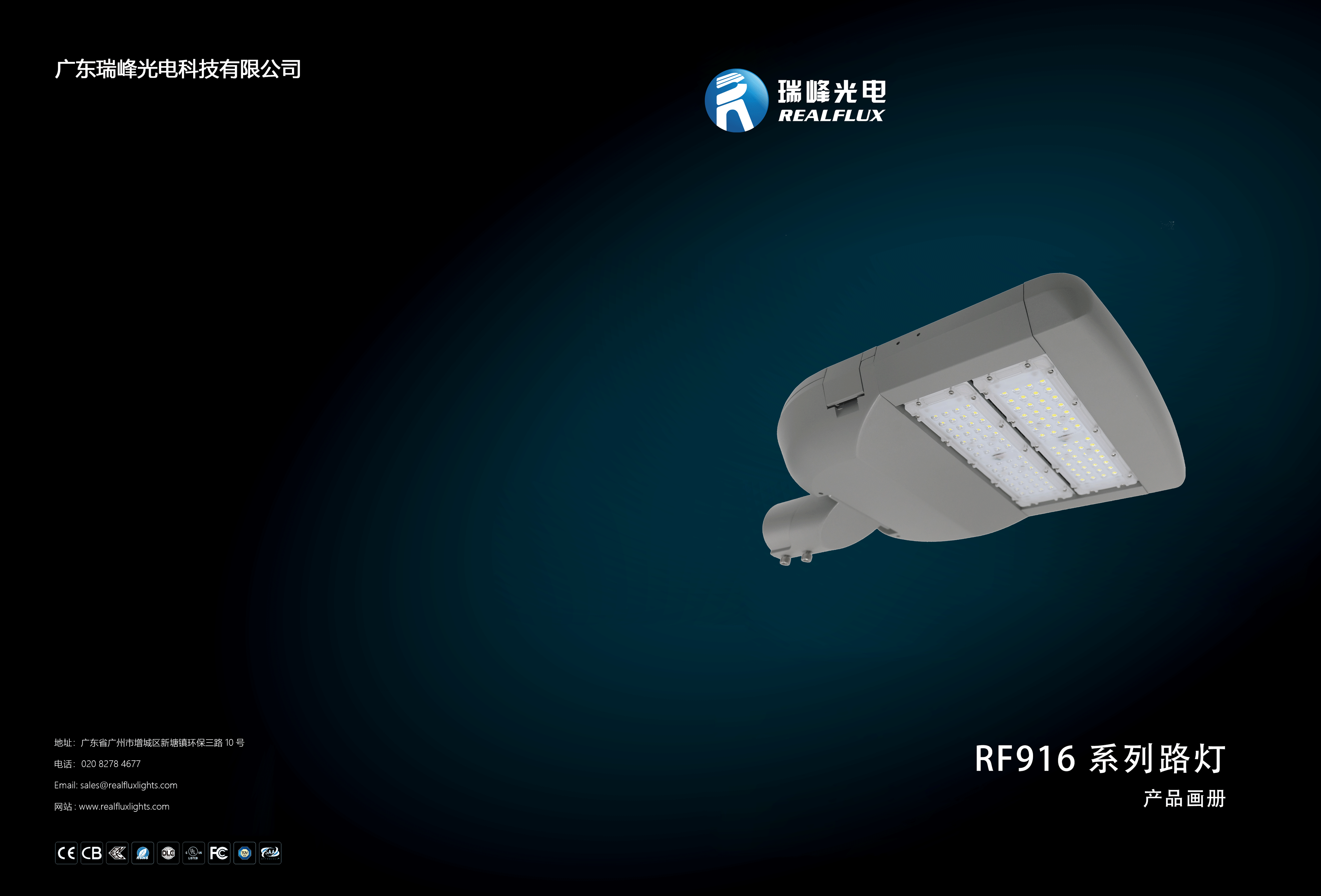 瑞峰光电916系列智慧路灯(图1)